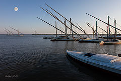  Masts on the lake