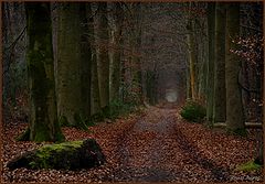  dark road