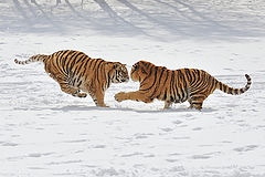  Face to face