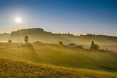  Sunny hills