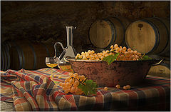  Vendanges