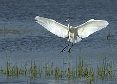  Landing