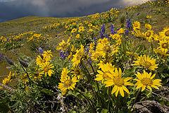  Late spring day