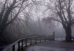  Fog