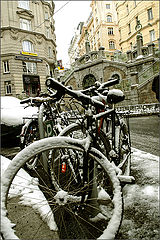  Winter in Vienna ...