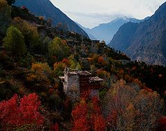  autumn