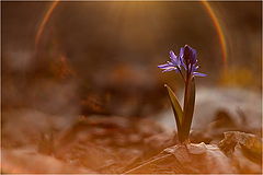  Springtime.