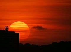  Sun
