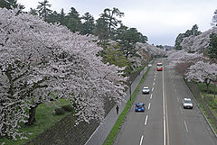  Sakura highway