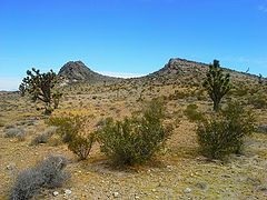  Mojave Landscape