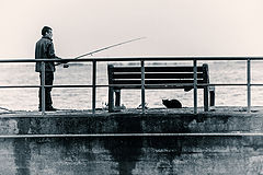  cat and fisherman
