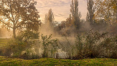  About autumn