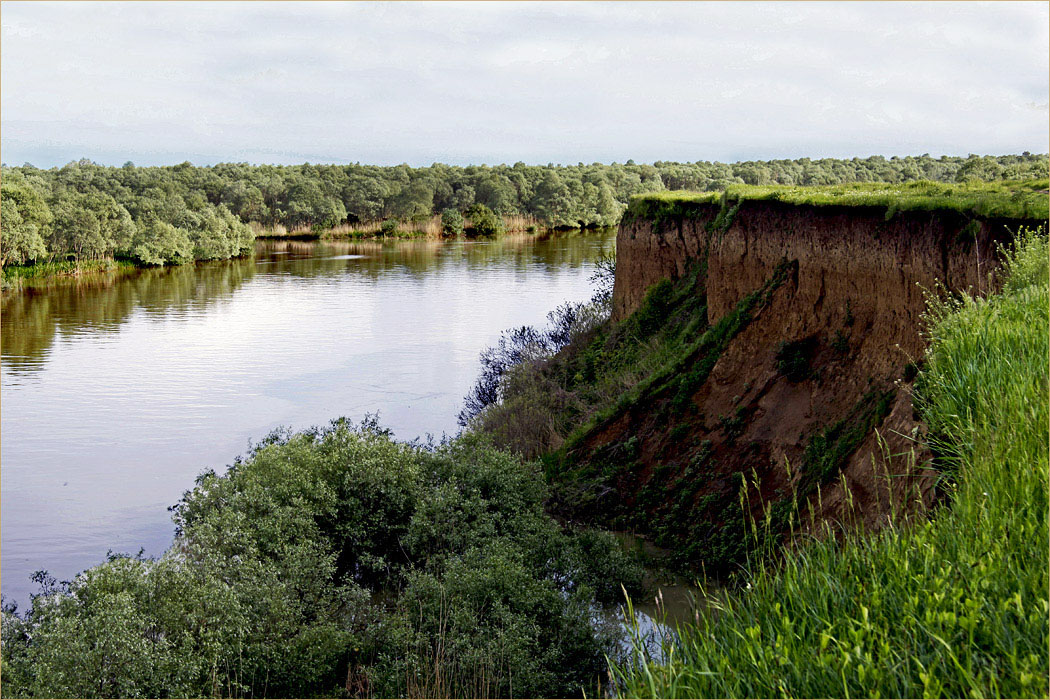 Кубань река пейзаж вода.