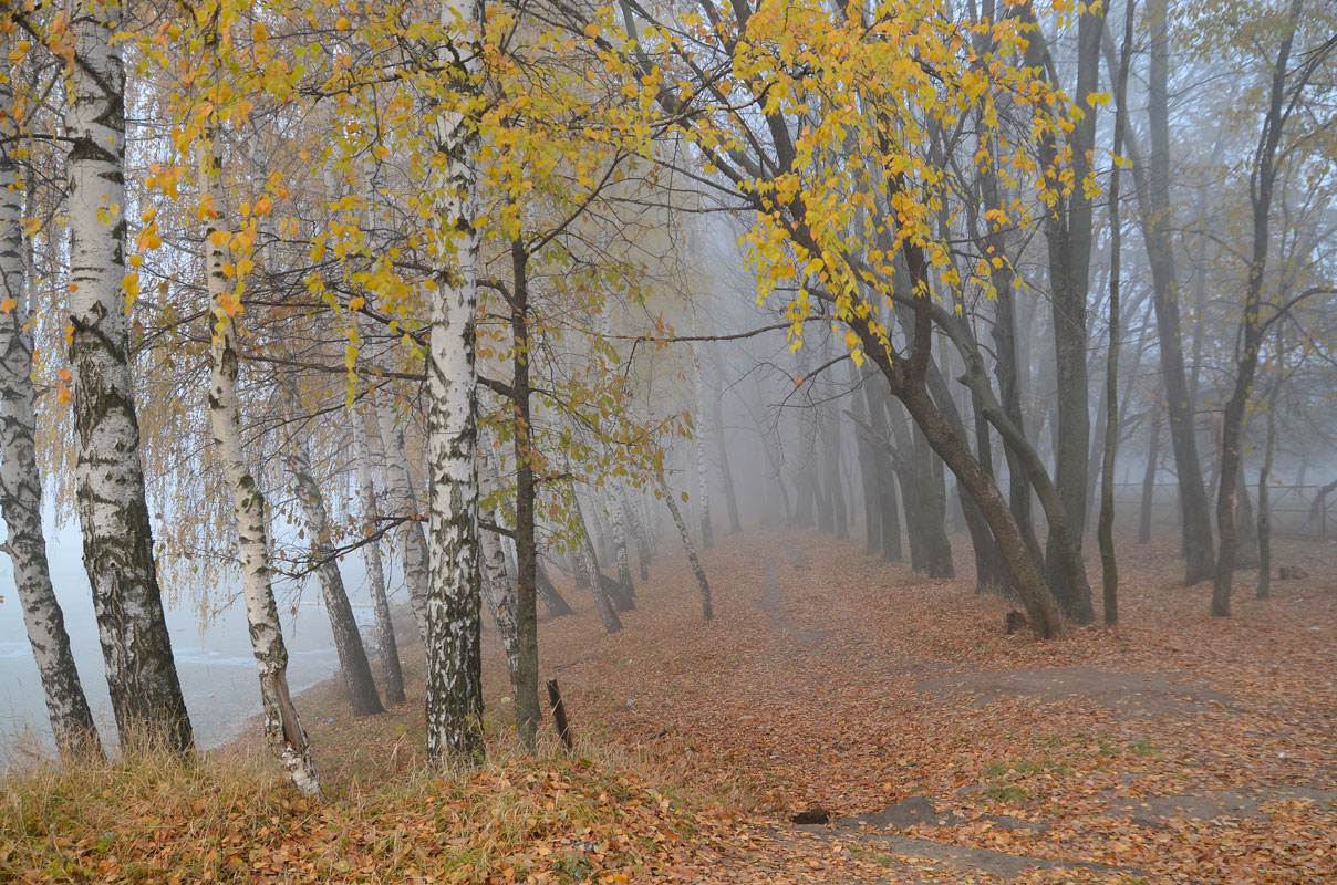 photo "***" tags: landscape, autumn