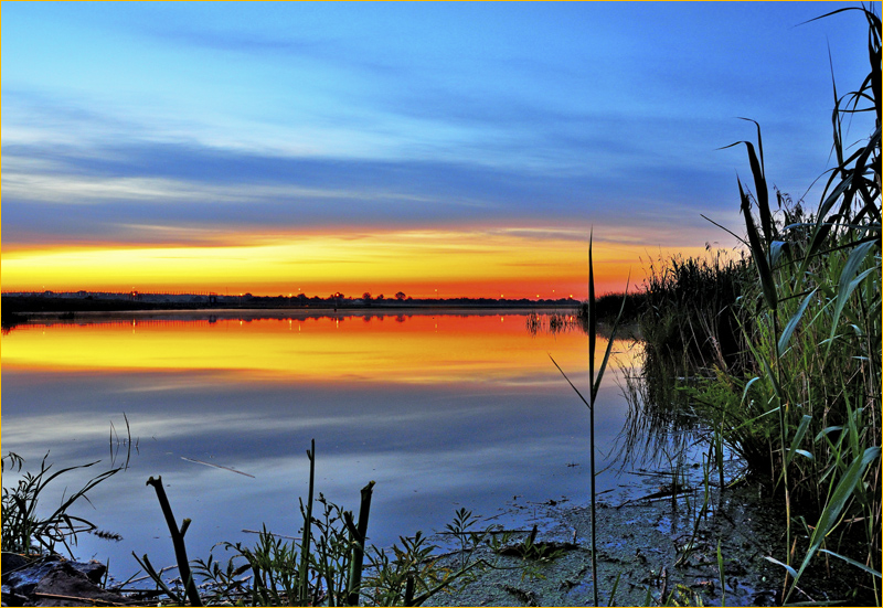http://www.photoforum.ru/f/photo/000/694/694850_69.jpg
