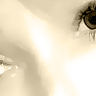 photographer Lopatka