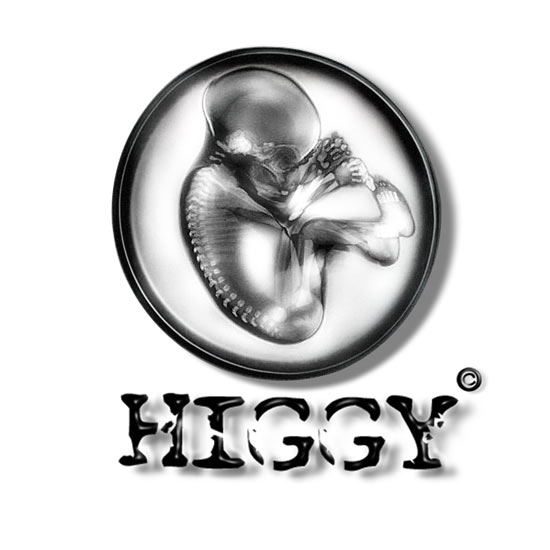 HIGGY