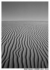 фото "Leading Lines"