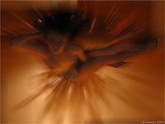 photo "Soaring"