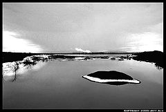 фото "Digiswamp"