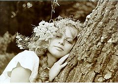 photo "The wood fairy"