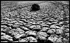 фото "Alone"