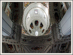 photo "Upside Down"