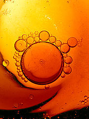 photo "Oil Painting"