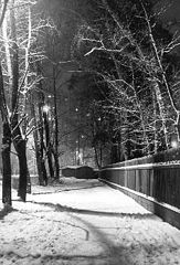 photo "Heat among winter"