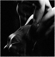 фото "Sensuality 2"