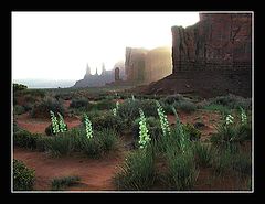 photo "Monument Valley at Sunset"