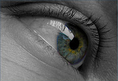 фото "Eye see colours"