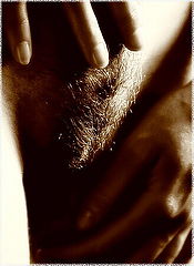 фото "Erotism ?"