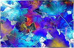 фото "Autumn in blue tones"