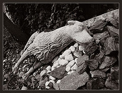 photo "A forgotten friend"