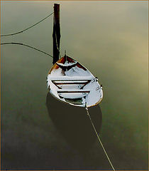 фото "Peacefully resting"