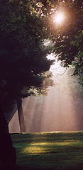 фото ""Sunday Mornin` Comin` Down""