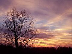 photo "Daylight`s Demise"