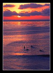 photo "California Surfers"