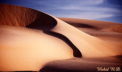 photo "Sand Dunes 1"