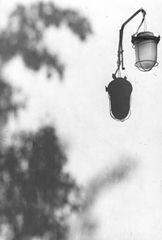 photo "Day time lantern"