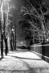photo "Winter thawing"