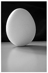 photo "Oval"