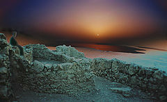 photo "Untitled photo"