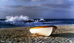 фото "Out of Season"