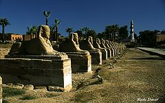 фото "Sphinx"