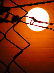 photo "Artificial sun behind a prisoner`s fence"