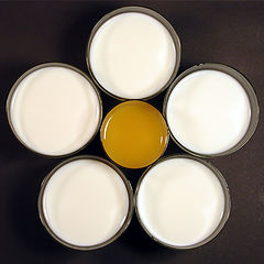 photo "Milk and Juice, or a Flower"