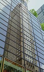 photo "Reflection"