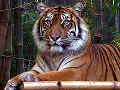 photo "Posing for a portrait"